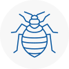 Bed Bug Extermination In Brierley Hill